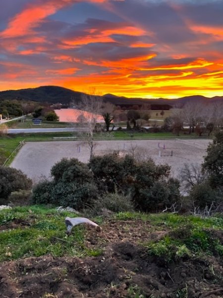 Les Écuries des Baux - photo 2
