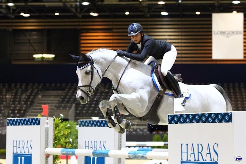 ECURIES MLJ - photo 1