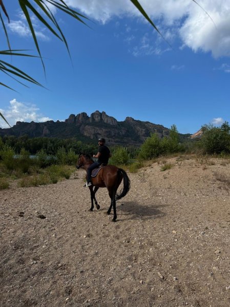 Centre Équestre La Cavale - photo 2