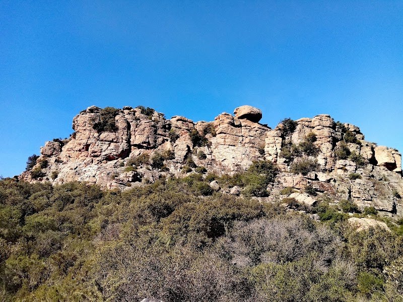 Centre Équestre La Cavale - photo 3