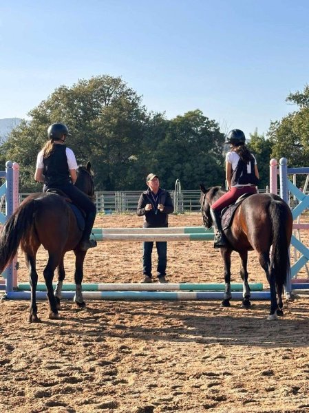 Les écuries du Golf - photo 2