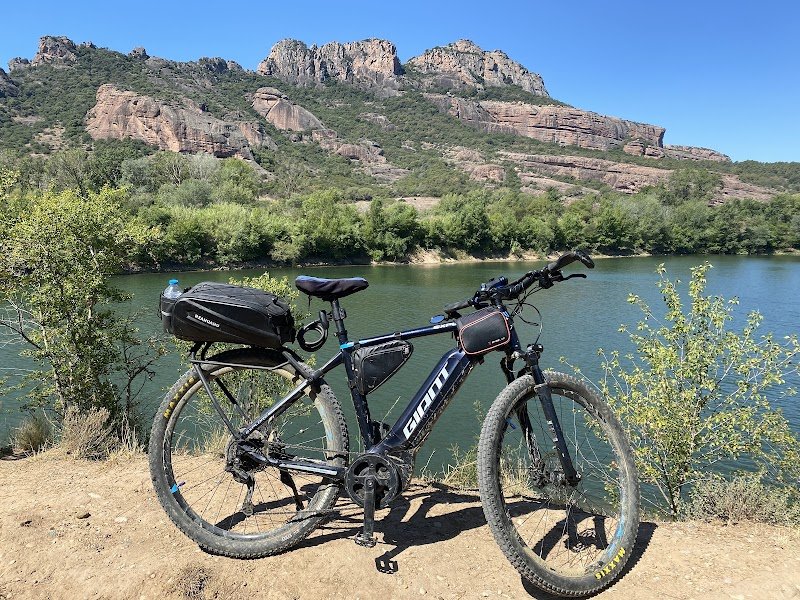 ECURIE DE L'ARENA - photo 2