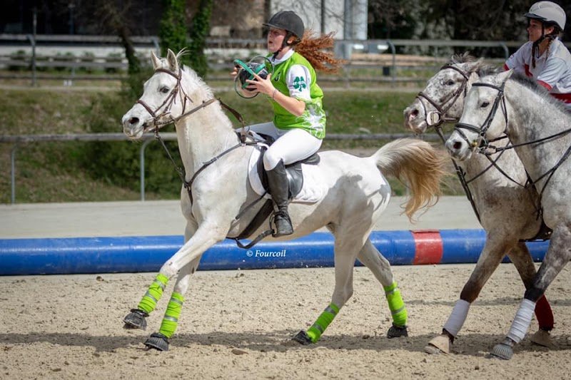 Club Hippique Maximois - photo 2