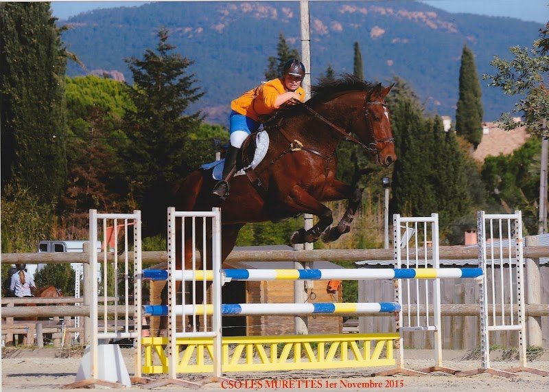 Club Hippique Maximois - photo 3