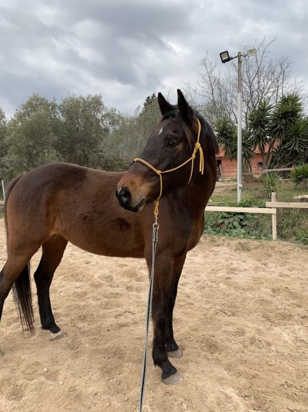 Ecuries Salammbo - photo 1