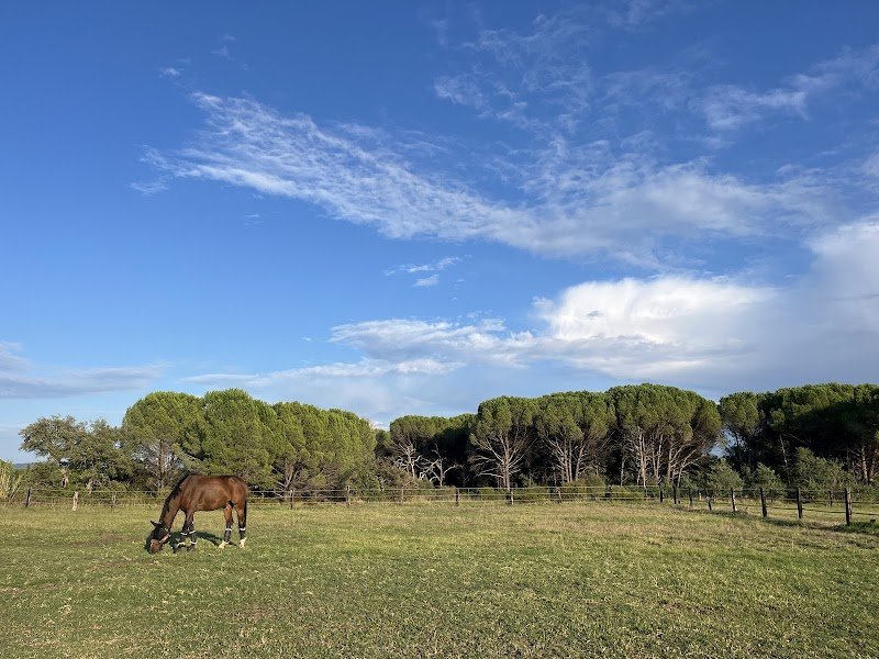 ECURIE des MOURESSES - photo 1