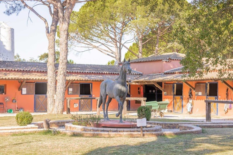 Domaine Equestre des Grands Pins - photo 1