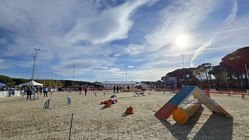 Domaine Equestre des Grands Pins - photo 2