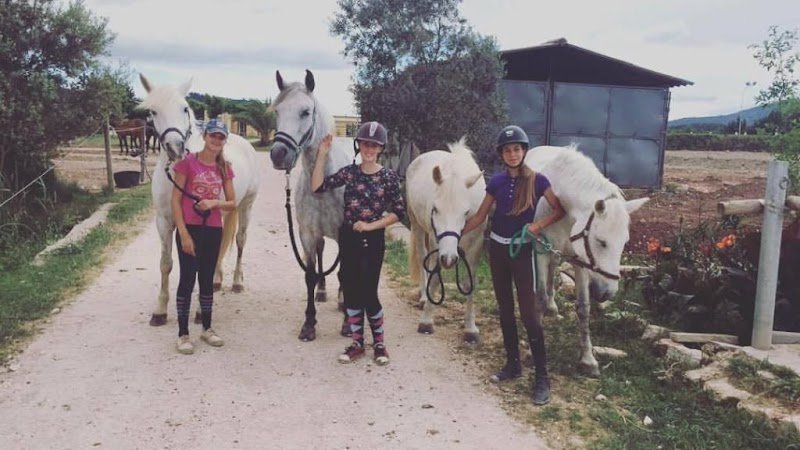 Ecuries Gombert Guillaume - photo 3