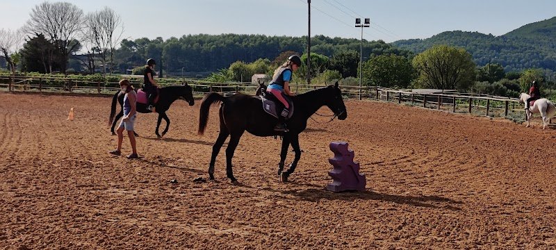 Écuries de la Foux - photo 3