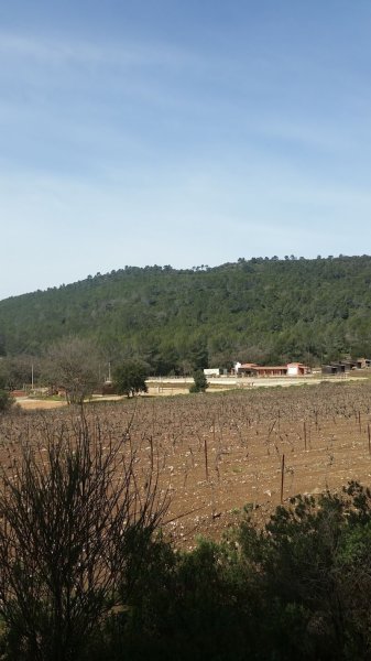 DOMAINE EQUESTRE LOU SUVE - photo 3