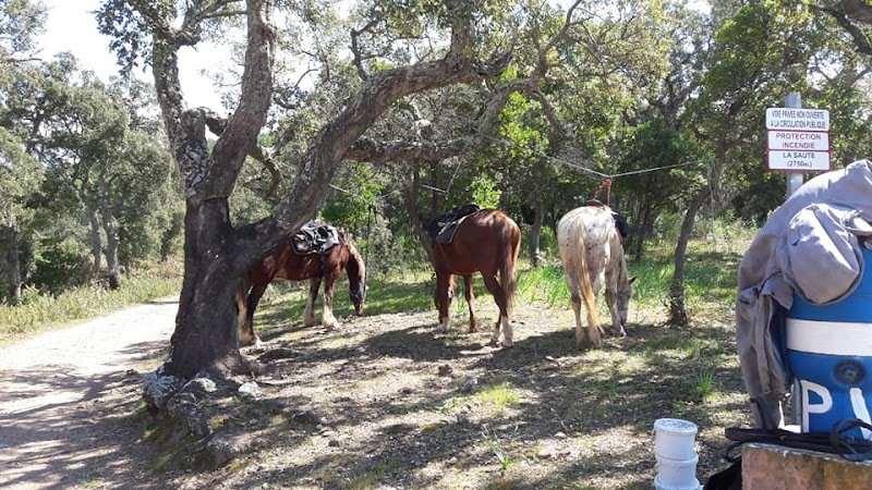 Ecuries de Camp-Joyeux