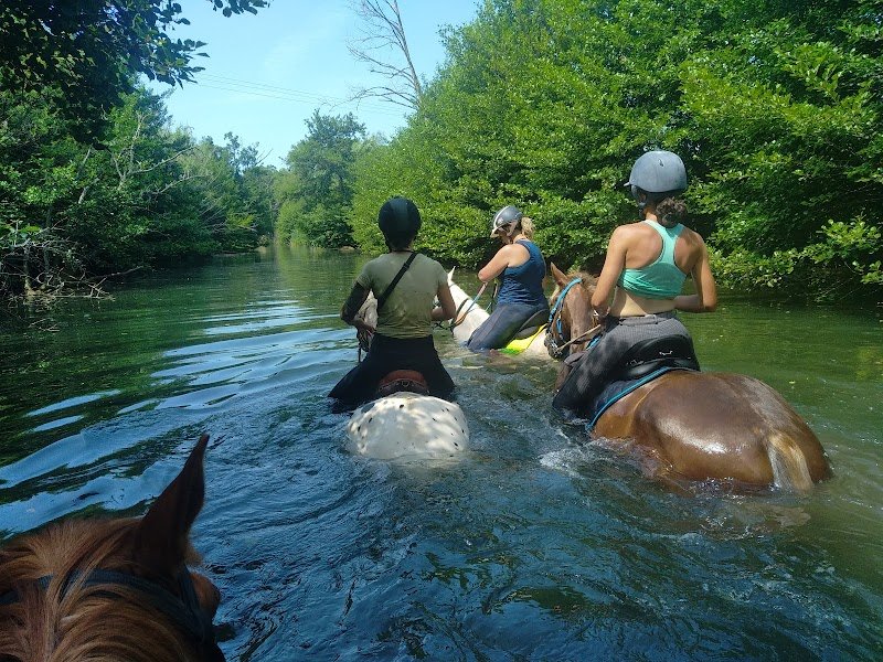 Ecuries de Camp-Joyeux - photo 2