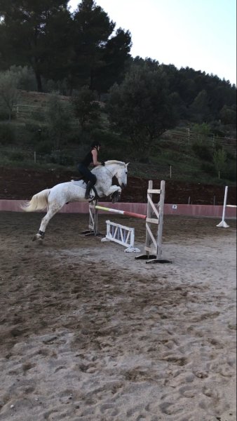 Centre Equestre Le Nénuphar