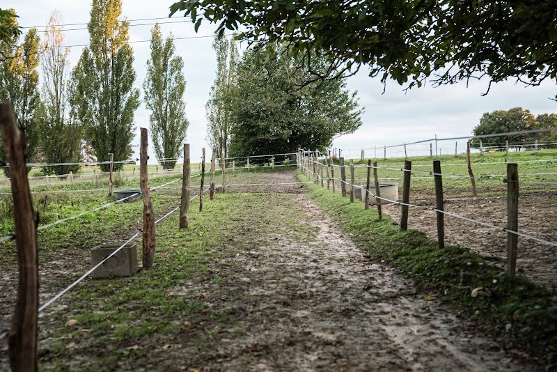 ecuries pixy - photo 1