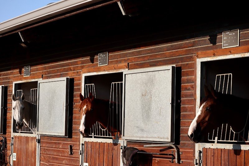 Ecurie Arthur Marx - photo 1