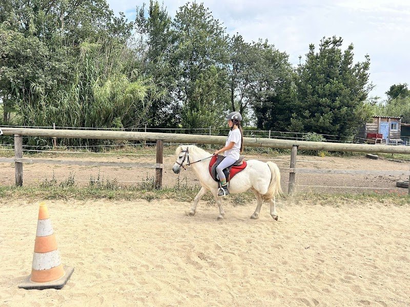 Ecurie CAVALLINO - photo 2