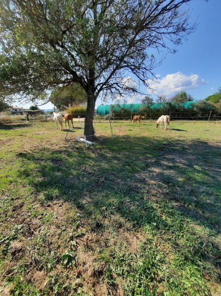 Ecurie caline - photo 1