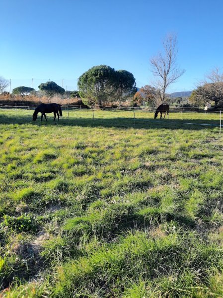 Ecurie caline - photo 2