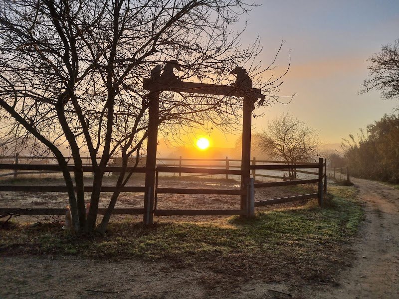 Ecurie caline - photo 3