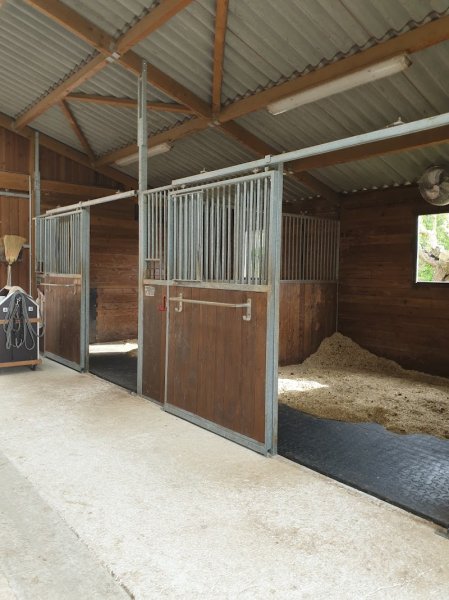 Haras des béliers - photo 2