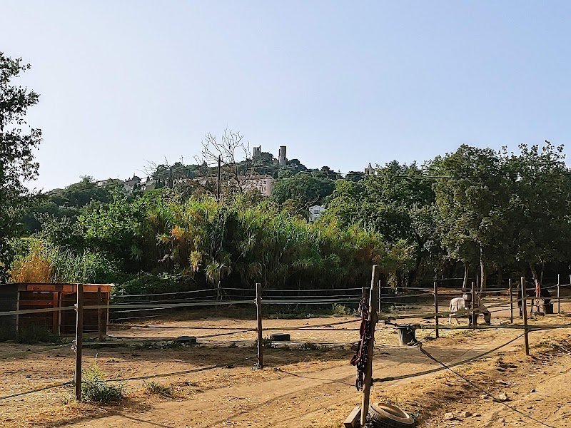 MDME STABLES - photo 2