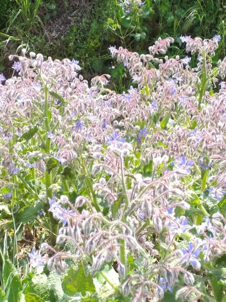 MDME STABLES - photo 3