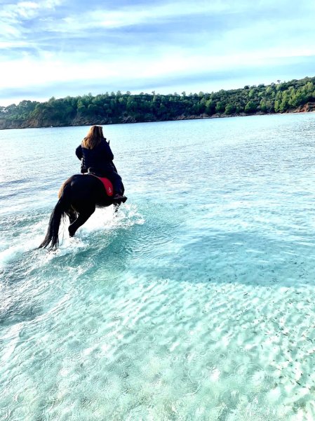 Domaine équestre Valérie Devictor - photo 2