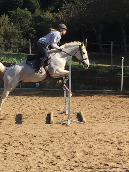 Domaine équestre Valérie Devictor - photo 3