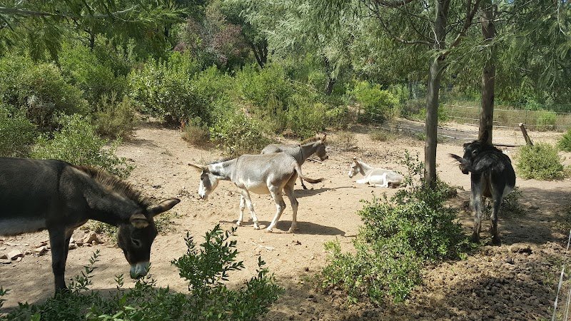 CLUB HIPPIQUE DE LA LONDE - photo 2