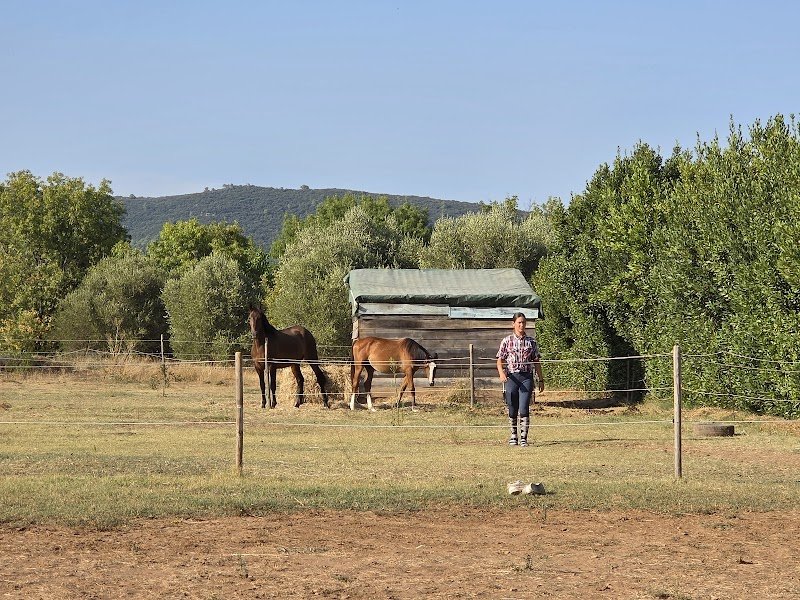 Ecurie Equi libre et partages - photo 3