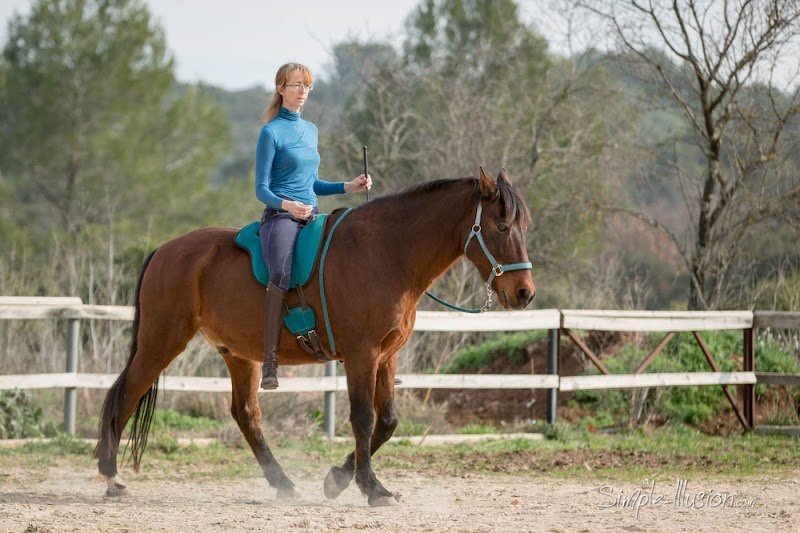 Les Chevaux d'Anahata - photo 2