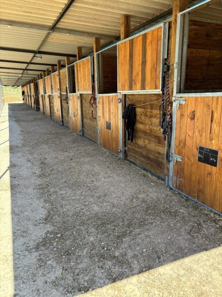 Domaine Equestre de Caliane - photo 2