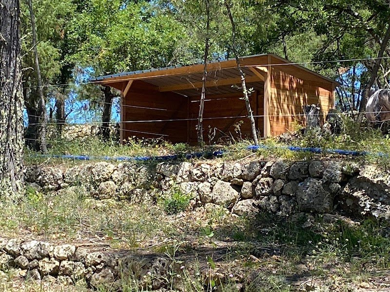 Domaine Equestre de Caliane - photo 3