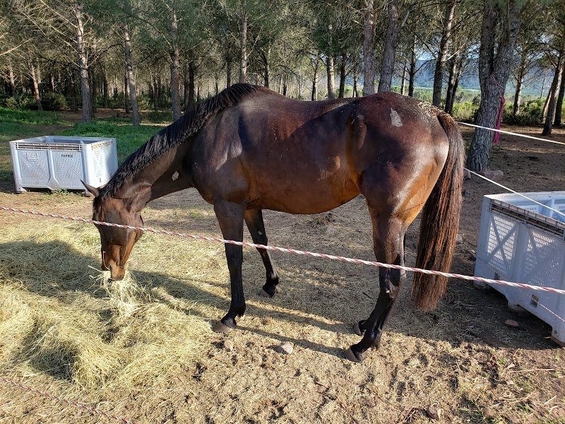 Ecurie AMPPG - photo 2