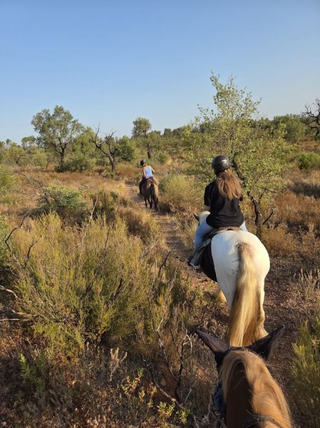 Les chevaux de Violette - photo 1