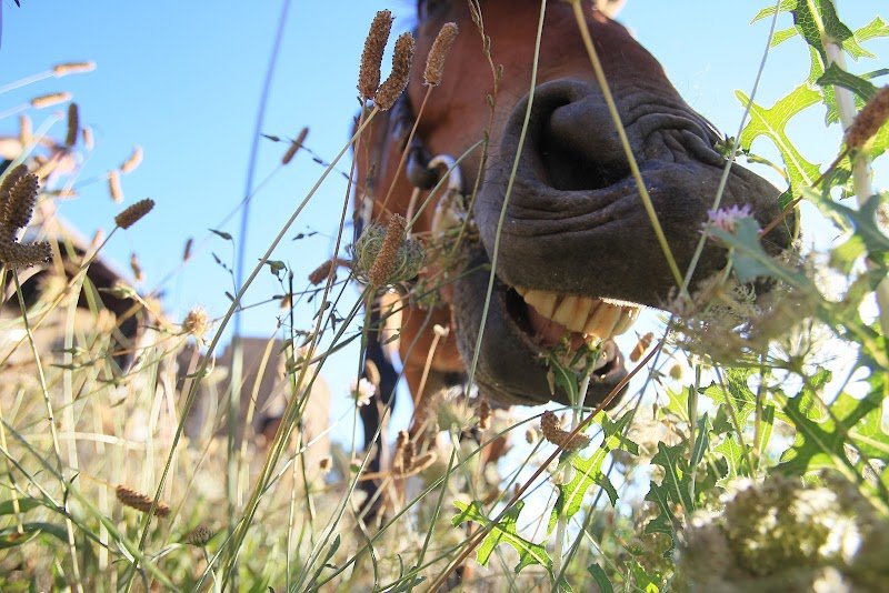 Les Ecuries de la Cibonne - photo 1