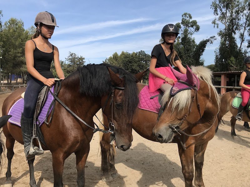 Les Ecuries de la Cibonne - photo 2