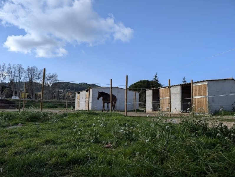 Le Haras du bel Olivier - photo 2