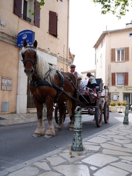Le Haras du bel Olivier - photo 3