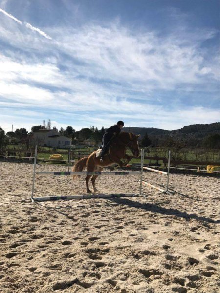 Centre équestre Saint Dominique - photo 2