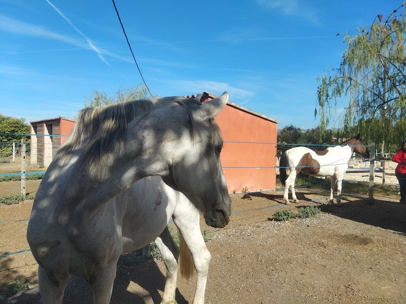 Ecurie Paradis - photo 1