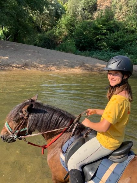 Les écuries du Rayol - photo 3