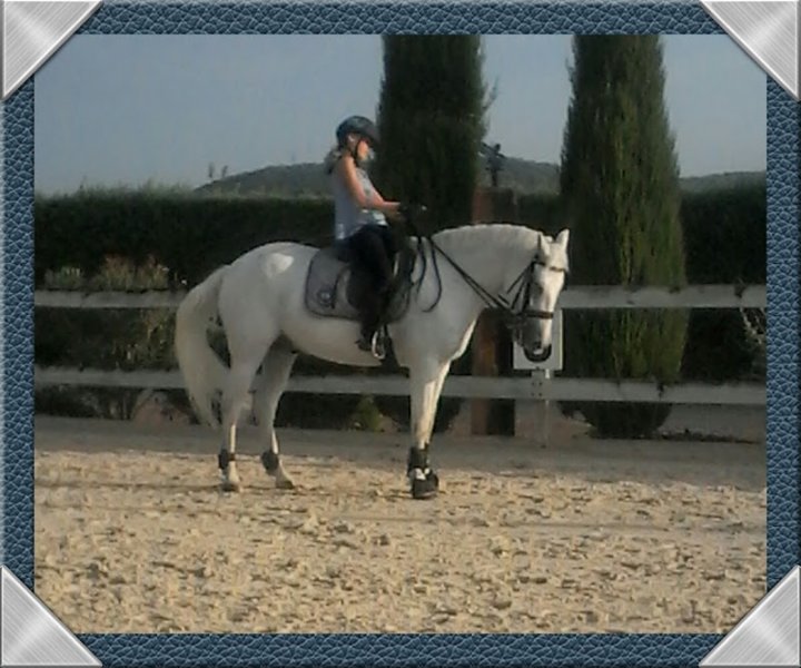 CENTRE EQUESTRE LES CYPRES - photo 2