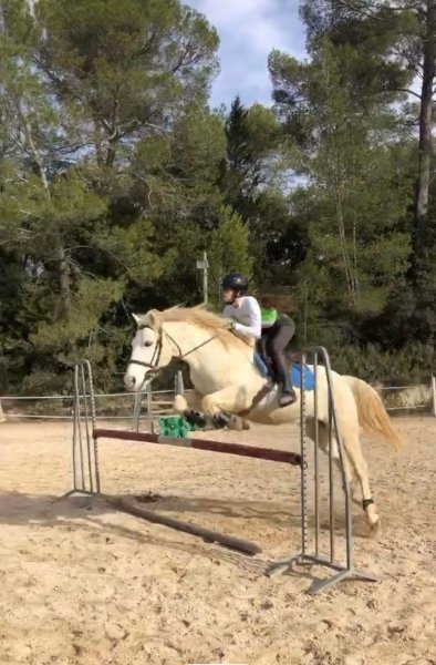 Ecurie L'escapade - photo 2