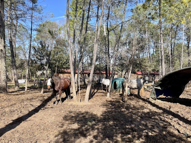 Centre Equestre de Liecabre - photo 2