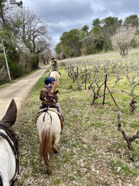 Centre Equestre de Liecabre - photo 3