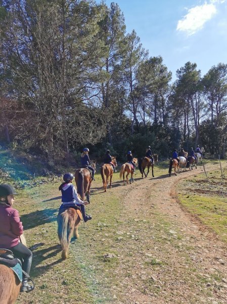 Poney Club Lorgues - photo 2