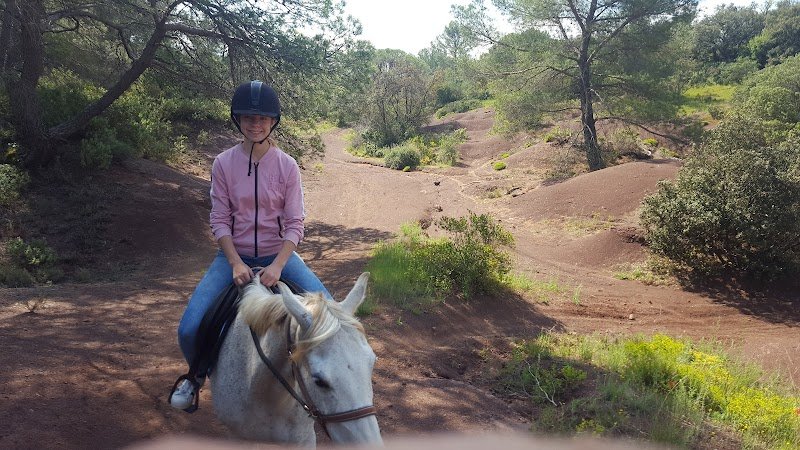 Le Haras des Suvières - photo 2