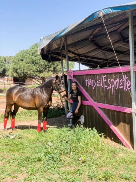 haras de l'espinette - photo 2